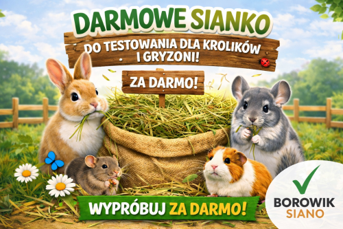 darmowe sianko borowik (2).png