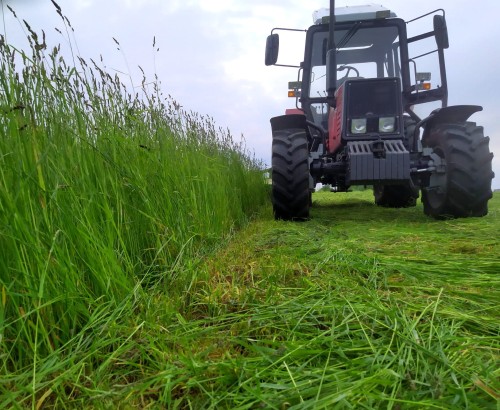 IMG_20210604_171048.jpg
