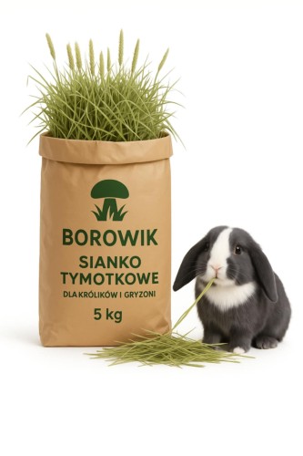 tymotka gruba szafirkowa.jpg