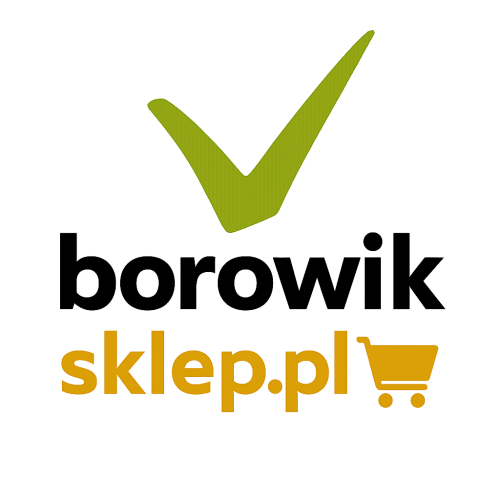 borowik i sklep .png