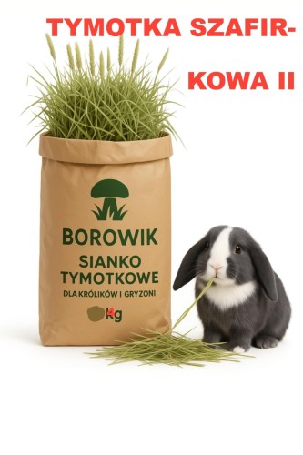tymotka gruba szafirkowa.jpg
