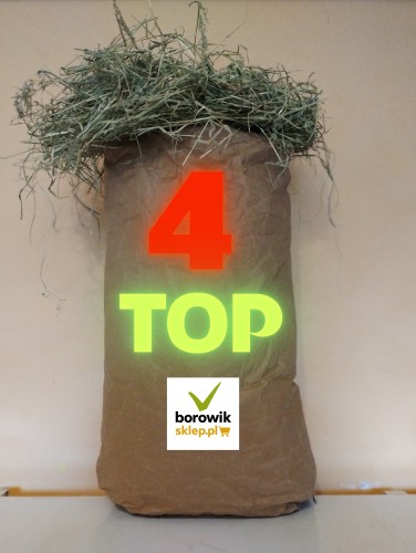 4 TOP borowiksklep.pl.JPG